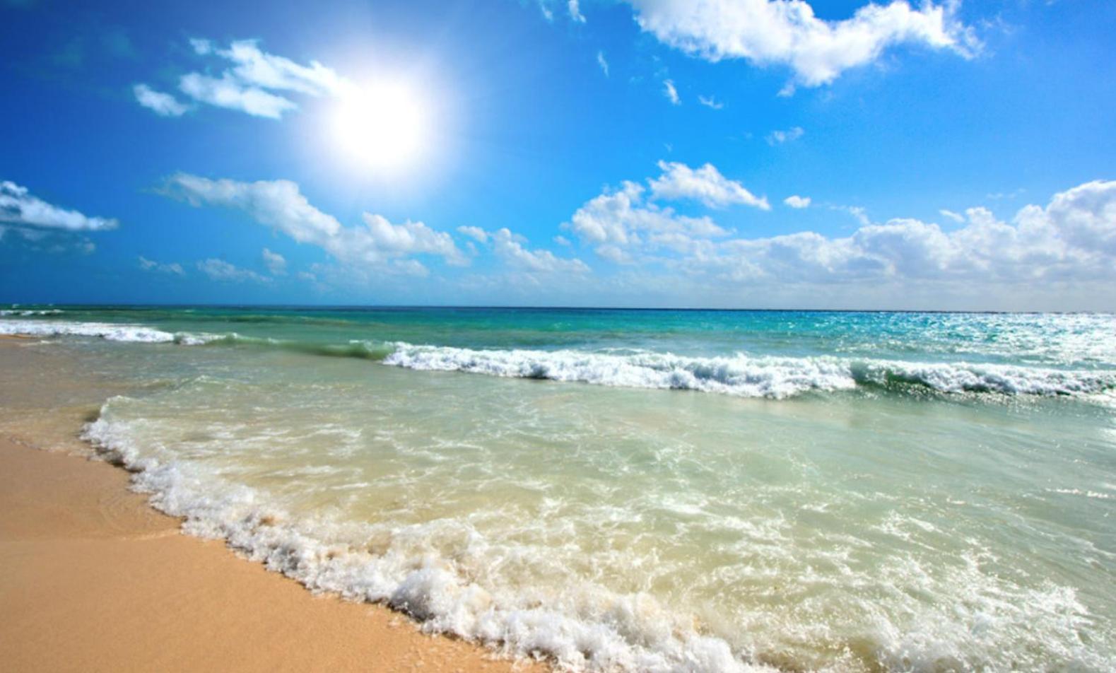 Chateau Del Mar C31A Studio Sunny Beach Esterno foto